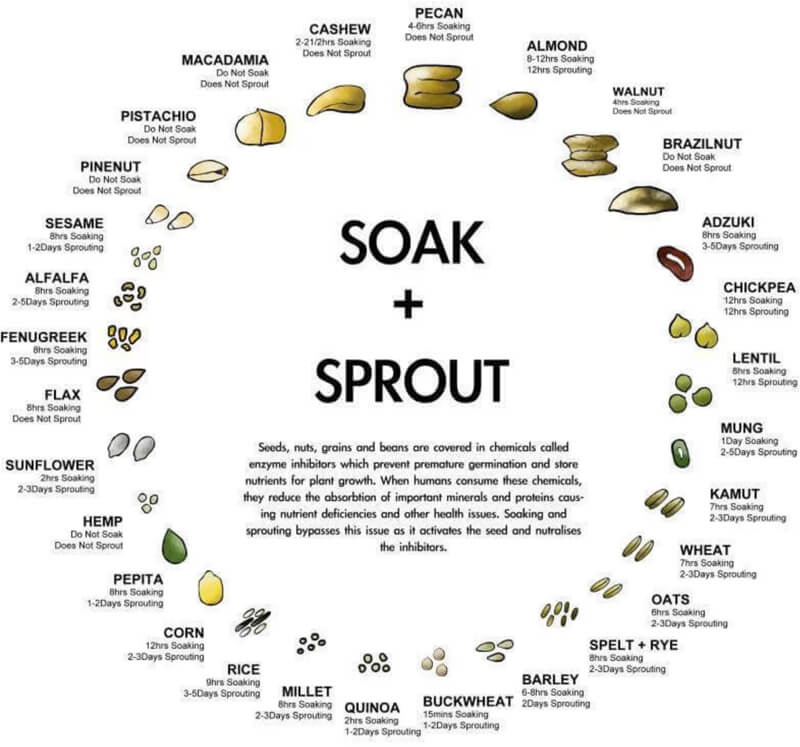 Soak + Sprout