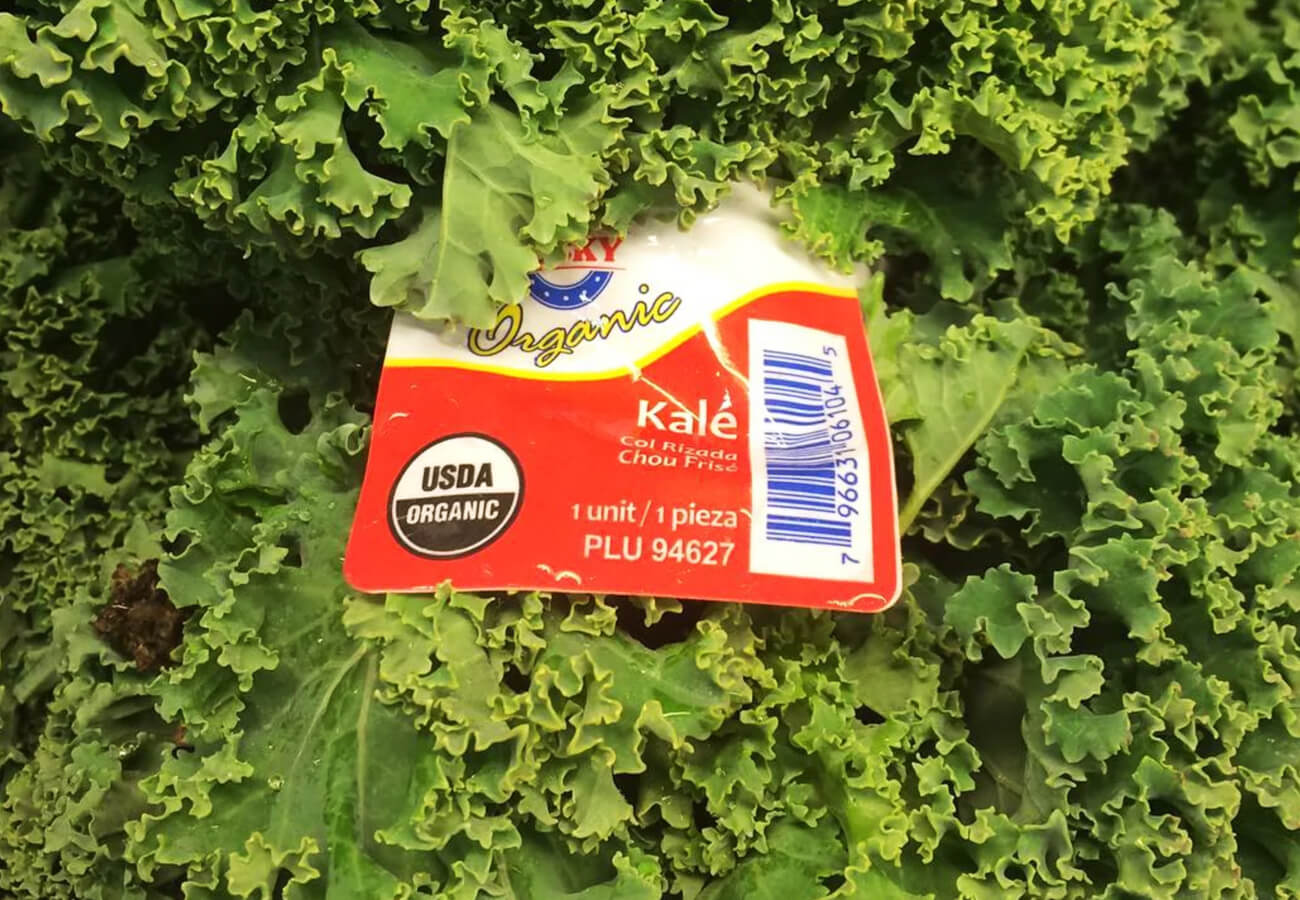 Activar hojas verdes