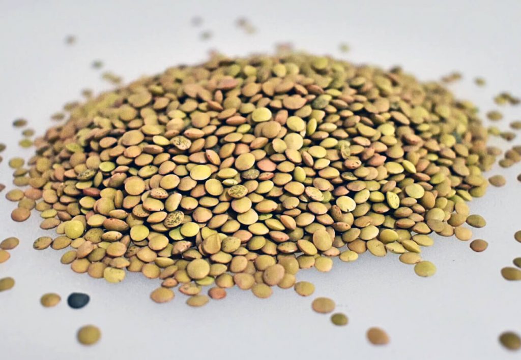 La sabrosa crema pro metabólica