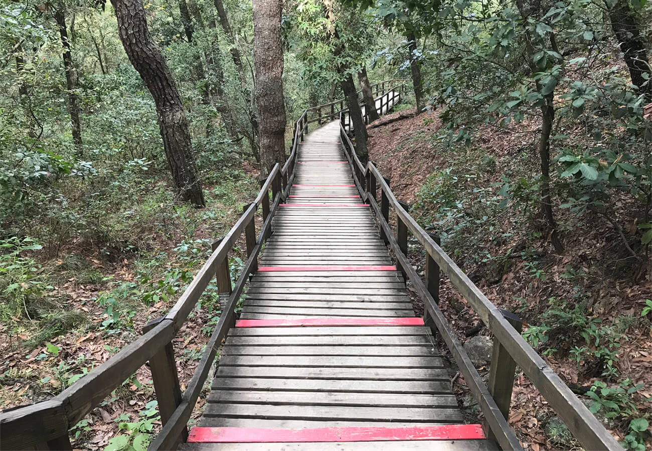 ¿Cómo logro sentirme bien?